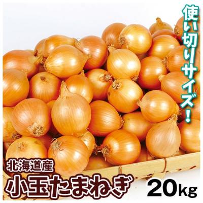 赤玉ねぎ S~L サイズ 箱込み 20 キロ 楽天市場】たまねぎ 20kg l 大