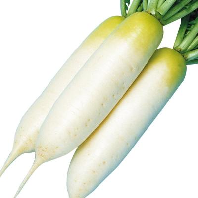 花と緑 国華園 - ダイコン｜Yahoo!ショッピング