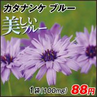 花の種 ランキングtop100 人気売れ筋ランキング Yahoo ショッピング