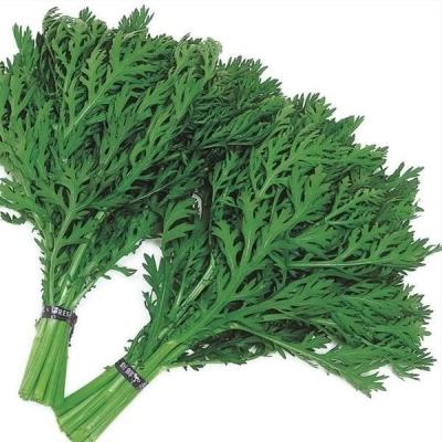 お勧め品、姫春菊の種３００粒＋匿名送料無料です＼(^o^)／ 春菊のおすすめ人気商品一覧 通販 - Yahoo!ショッピング