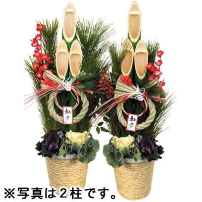 門松用　伊勢産根引松 2セット 門松用 伊勢産根引松 2セット 門松用 伊勢産根引松 2セット