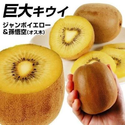 孫悟空 キウイのおすすめ人気商品一覧 通販 - Yahoo!ショッピング