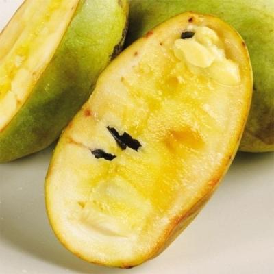 マンゴポポーMango Powpow　幻の果物　３点セット マンゴポポーMango Powpow 幻の果物 3点セット 【公式通販】
