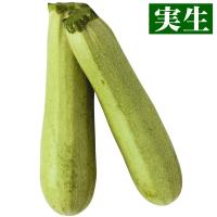 実生野菜苗 ズッキーニ F1エメラルド 4株 ずっきーに 苗 ズッキーニ苗 自根苗 21 P5 0172 花と緑 国華園 通販 Yahoo ショッピング