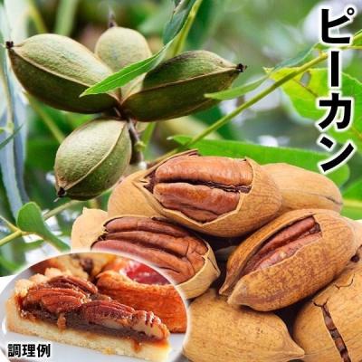 ペカンナッツ（苗木、植木） | 花、ガーデニング のおすすめ人気商品