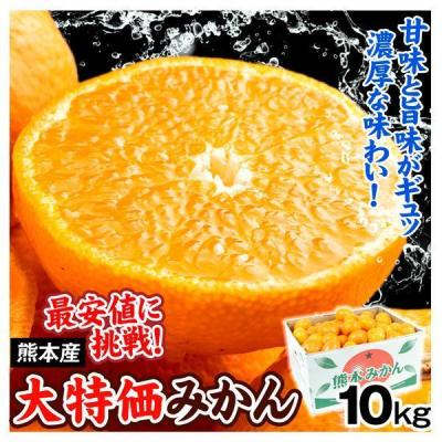 大坊みかんのおすすめ人気ランキングTOP100 - Yahoo!ショッピング