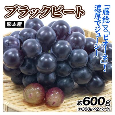 ブラックビート ぶどう 2kgの商品一覧 通販 - Yahoo!ショッピング