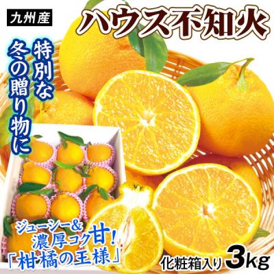 不知火のおすすめ人気商品一覧 通販 - Yahoo!ショッピング