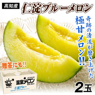 アールスメロンの商品一覧 通販 - Yahoo!ショッピング