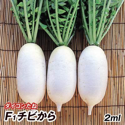 花と緑 国華園 - ダイコン｜Yahoo!ショッピング