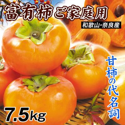 紀ノ川柿のおすすめ人気ランキングTOP100 - Yahoo!ショッピング