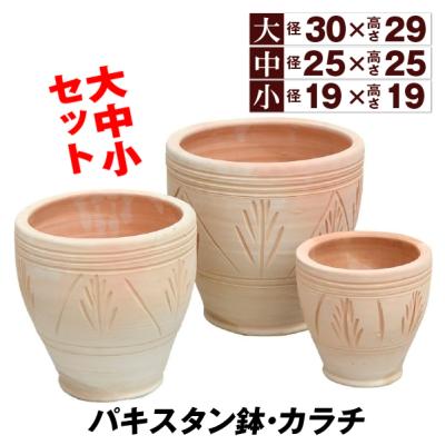 椰子の実 鉢のおすすめ人気商品一覧 通販 - Yahoo!ショッピング