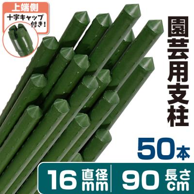 イボ竹のおすすめ人気商品一覧 通販 - Yahoo!ショッピング