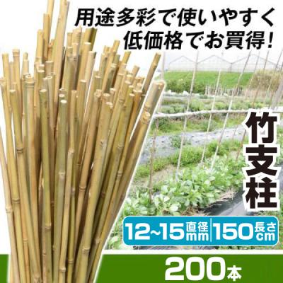 女竹のおすすめ人気商品一覧 通販 - Yahoo!ショッピング