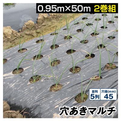 ニンニク用 黒有孔マルチ 160cm✖️200m 4本セット価格 穴あきマルチ ニンニクのおすすめ人気商品一覧 通販 - Yahoo!ショッピング