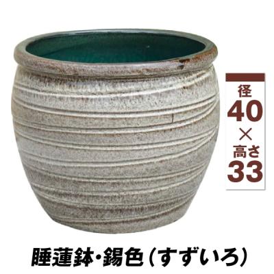睡蓮鉢　Ｗ 40φ × Ｈ 32 cm/16号 花と緑 国華園 - 睡蓮鉢｜Yahoo!ショッピング