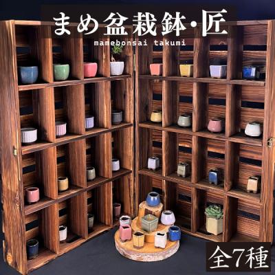 豆盆栽のおすすめ人気商品一覧 通販 - Yahoo!ショッピング