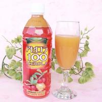 アセロラ100 500ml×4本 沖縄特産販売 Cたっぷり アセロラ果汁100% 割り材やジュースに | ココモモーズ
