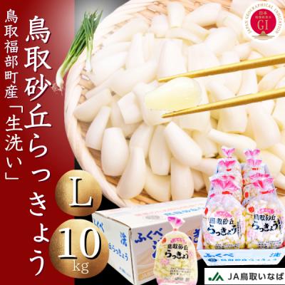 ラッキョウのおすすめ人気ランキングTOP100 - Yahoo!ショッピング