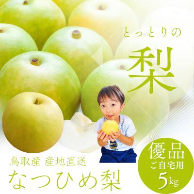 パトラ かおり梨4玉入り5kg、5玉入り5kgのセット かおり梨のおすすめ人気商品一覧 通販 - Yahoo!ショッピング