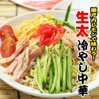 讃岐 生太 田舎 冷やし中華 2食 瀬戸内レモンつゆセット ポイント消化 お取り寄せ ポイント利用 お試し商品 サンプル