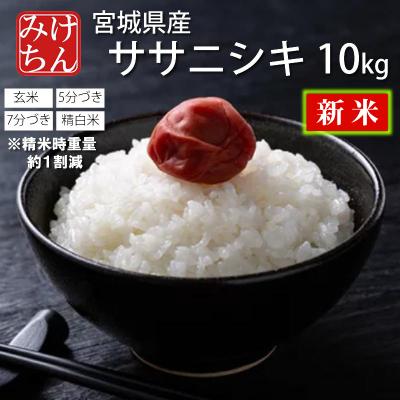 ササニシキ（精米度：7分づき）おすすめ人気商品一覧 通販 - Yahoo