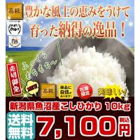 コシヒカリ 令和3年産 5kg×2袋 新潟県産 魚沼産 新米 10kg 米 お米 白米 玄米 選べる 送料無料 新潟県産 タイムセール | 米工房 かさまつ YAHOO店