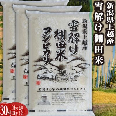 近江米コシヒカリ 30Kgのおすすめ人気商品一覧 通販 - Yahoo!ショッピング