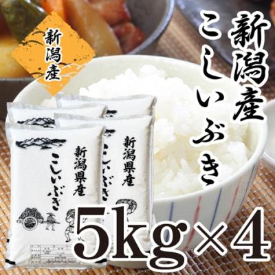 こしいぶき おすすめ人気商品一覧 通販 - Yahoo!ショッピング
