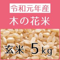 木の花米（令和元年産）　玄米　5kg 