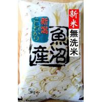 新米 コシヒカリ 無洗米 令和元年産 魚沼産コシヒカリ 無洗米５kg 送料無料 