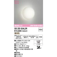 安心のメーカー保証 OB255024LDR（ランプ別梱包）『OB255024#＋NO295GL』 オーデリック ブラケット 一般形 LED ◆ | 住まいのこしなかセレクト店