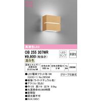 安心のメーカー保証 OB255307WR（ランプ別梱包）『OB255307#＋NO295GW』 オーデリック ブラケット 一般形 LED ◆ | 住まいのこしなかセレクト店