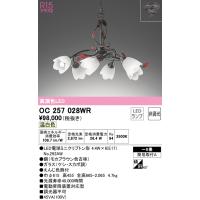 安心のメーカー保証 OC257028WR（ランプ別梱包）『OC257028#＋NO292AW×6』 オーデリック シャンデリア LED  実績20年の老舗 | 住まいのこしなかセレクト店