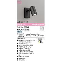 安心のメーカー保証 OG254567NR（ランプ別梱包）『OG254567#＋NO257EN』 オーデリック 屋外灯 スポットライト LED | 住まいのこしなかセレクト店