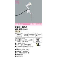 安心のメーカー保証 OG254574LR（ランプ別梱包）『OG254574#＋NO257EL』 オーデリック 屋外灯 スポットライト LED ◆ | 住まいのこしなかセレクト店