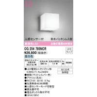 安心のメーカー保証 OG254795NCR（ランプ別梱包）『OG254795#＋NO292EN』 オーデリック ポーチライト LED ◆ 実績20年の老舗 | 住まいのこしなかセレクト店