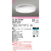 安心のメーカー保証 OL291551BR オーデリック シーリングライト LED リモコン別売 ◆ 実績20年の老舗 | 住まいのこしなかセレクト店