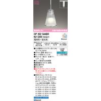 安心のメーカー保証 OP252544BR（ランプ別梱包）『OP252544#＋NO292FB』 オーデリック ペンダント 配線ダクト用 LED リモコン別売 ◆ | 住まいのこしなかセレクト店