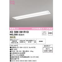 安心のメーカー保証 XD566091R1D（ランプ別梱包）『XD566091#Y＋NO441RD×2』 オーデリック ベースライト 天井埋込型 LED | 住まいのこしなかセレクト店