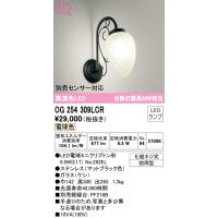 安心のメーカー保証 Ｔ区分オーデリック照明器具 OG254309LCR （ランプ別梱包）『OG254309#＋NO292EL』 ポーチライト LED | 照明器具と住まいのこしなか