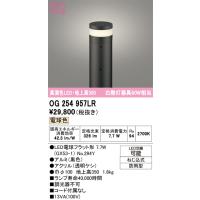 安心のメーカー保証 Ｎ区分オーデリック照明器具 OG254957LR （ランプ別梱包）『OG254957#＋NO294Y』 屋外灯 ポールライト LED | 照明器具と住まいのこしなか