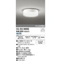 【インボイス対応店】Ｔ区分オーデリック照明器具 OG254960ND （ランプ別梱包）『OG254960#＋NO251S1』 ポーチライト 軒下使用可 LED | 照明器具と住まいのこしなか