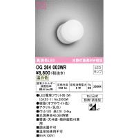 安心のメーカー保証 Ｔ区分オーデリック照明器具 OG264003WR （ランプ別梱包）『OG264003#＋NO295GW』 ポーチライト 軒下使用可 LED | 照明器具と住まいのこしなか
