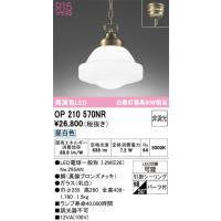 安心のメーカー保証 Ｔ区分オーデリック照明器具 OP210570NR （ランプ別梱包）『OP210570#＋NO295AN』 ペンダント LED | 照明器具と住まいのこしなか