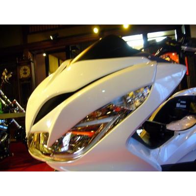 PCX デビルマスク（バイク用 フロントカウル、マスク）｜外装