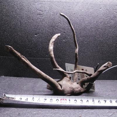 アク抜き済み 流木のおすすめ人気商品一覧 通販 - Yahoo!ショッピング