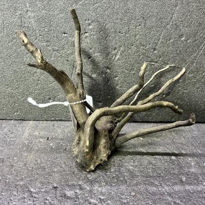 アク抜き済み 流木のおすすめ人気商品一覧 通販 - Yahoo!ショッピング