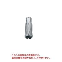 【ポイント15倍】【直送品】 育良精機 特注ボアアップカッター ISK-BUC310D (54546) 【受注生産品】【法人向け・個人宅配送不可】 | 工具屋さんYahoo!店