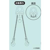 スリーエッチ H.H.H アジャスタブルチェーンスリング ACS2-D | 工具屋さんYahoo!店